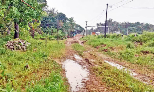 മു​ക്കാ​ളി​ക്കും കു​ഞ്ഞി​പ്പ​ള്ളി​ക്കു​മി​ട​യി​ൽ സ​ർ​വി​സ് റോ​ഡ് ഇല്ല