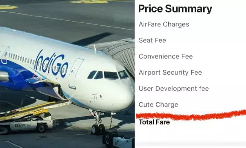 IndiGo charges passenger a cute fee