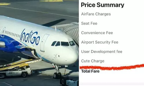 IndiGo charges passenger a cute fee