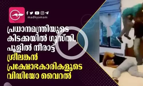 പ്രധാനമന്ത്രിയുടെ കിടക്കയിൽ ​ഗുസ്തികളി, പൂളിൽ നീരാട്ട്; ശ്രീലങ്കൻ പ്രക്ഷോഭകാരികളുടെ വിഡിയോ വൈറൽ