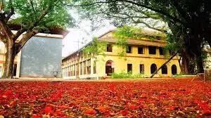 20 സർക്കാർ കോളജുകൾ കോൺസ്റ്റിറ്റ്യുവന്റ് പദവിയിലേക്ക് 20 സർക്കാർ കോളജുകൾ കോൺസ്റ്റിറ്റ്യുവന്റ് പദവിയിലേക്ക്