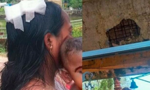 ചോറൂണിനിടെ ആനപ്പന്തലിന്റെ   മേൽക്കൂരപ്പാളി അടർന്നു വീണ് മൂന്നുപേർക്ക് പരിക്ക്