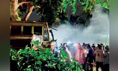 ഓടിക്കൊണ്ടിരുന്ന കെ.എസ്.ആർ.ടി.സി ബസിന് മുകളിൽ മരക്കൊമ്പ് വീണു