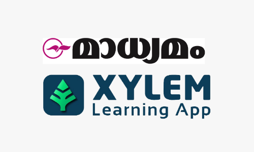 xylem, madhyamam xylem, madhyamam