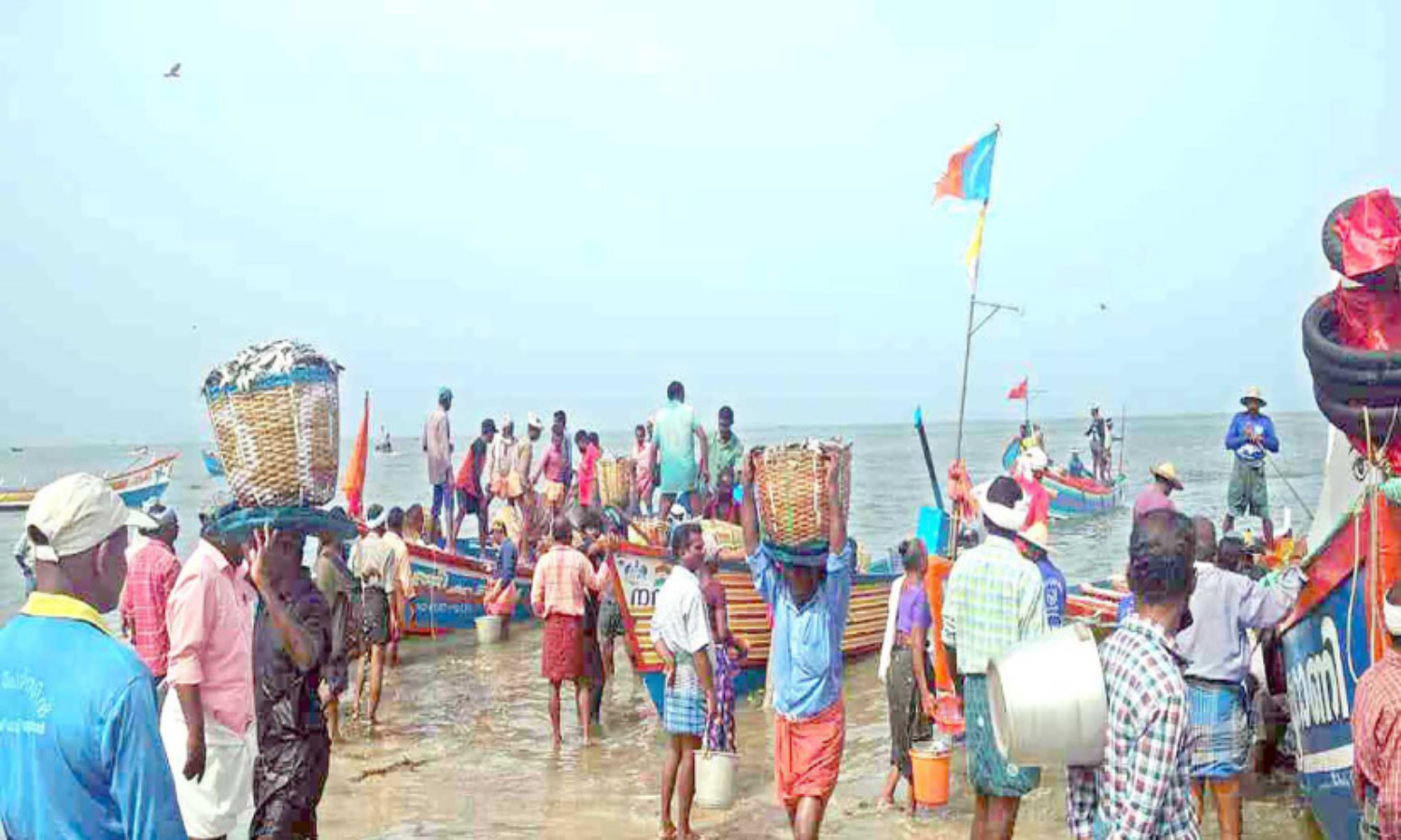 പായല്‍കുളങ്ങര തീരത്ത് ചാകര, മത്സ്യത്തൊഴിലാളികളില്‍ ആവേശത്തിരയിളക്കം