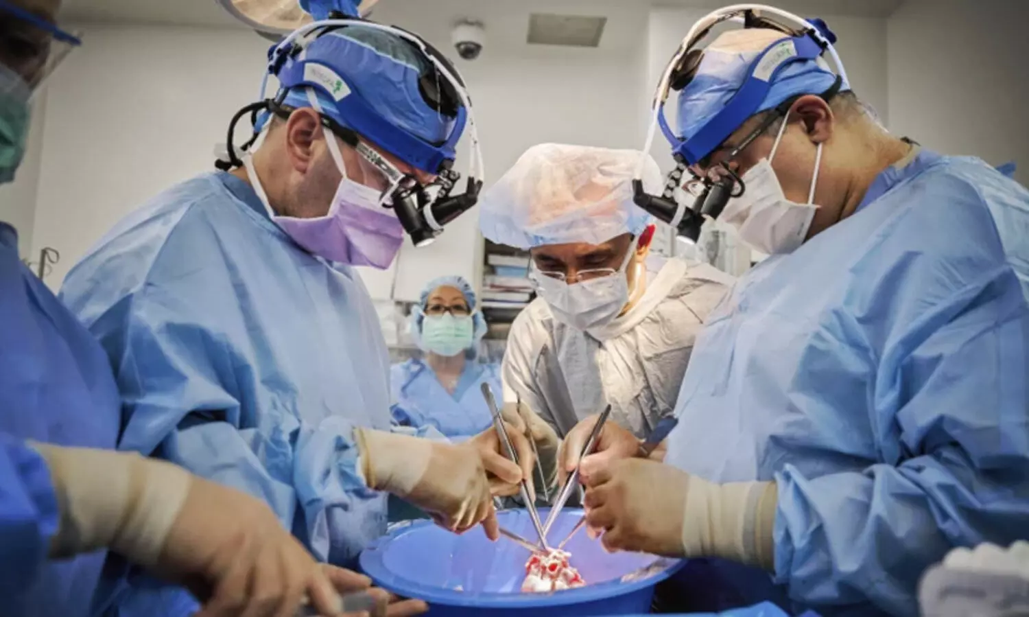 Pig heart transplants