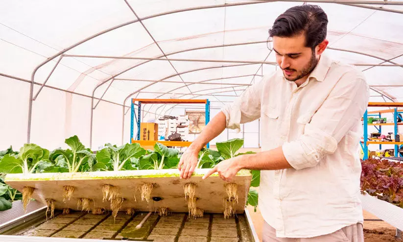 ഹൈ​ഡ്രോ​പോ​ണി​ക്സ് വി​ദ്യ:  മ​രു​ഭൂ​മി​യെ ഹ​രി​താ​ഭ​മാ​ക്കി സൗ​ദി ക​ർ​ഷ​ക​ൻ