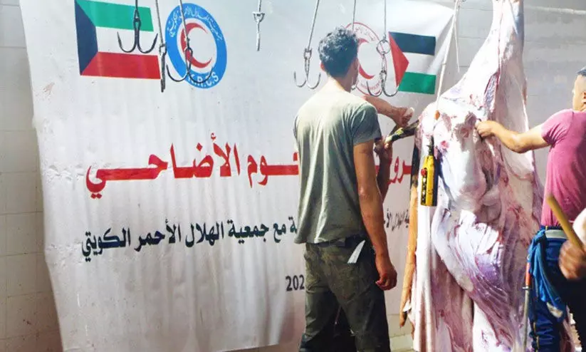 ഇറാഖിലും ഫലസ്തീനിലും ബലിമാംസ വിതരണം നടത്തി ഇറാഖിലും ഫലസ്തീനിലും ബലിമാംസ വിതരണം നടത്തി