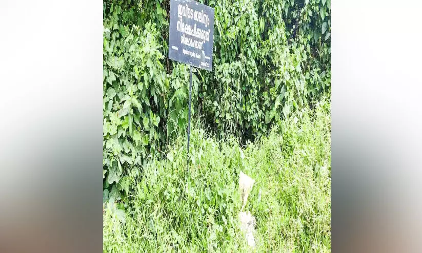 ഏനാത്ത് കീരത്തിൽ തോട്ടിൽ മാലിന്യം തള്ളുന്നു ഏനാത്ത് കീരത്തിൽ തോട്ടിൽ മാലിന്യം തള്ളുന്നു