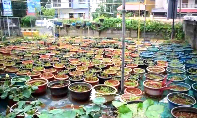 flower stall 9878978 flower stall 9878978