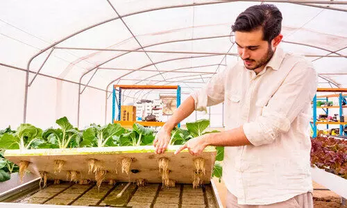 ഹൈ​ഡ്രോ​പോ​ണി​ക്സ് വി​ദ്യ:  മ​രു​ഭൂ​മി​യെ ഹ​രി​താ​ഭ​മാ​ക്കി സൗ​ദി ക​ർ​ഷ​ക​ൻ