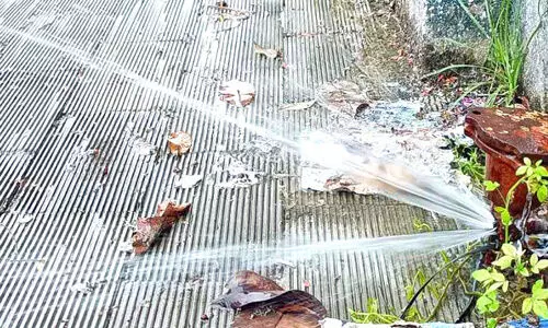 കലക്ടറേറ്റിന് സമീപം വാൽവ് പൊട്ടി വെള്ളം പാഴാകുന്നു