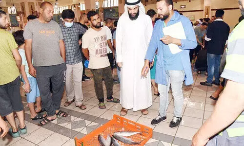 മത്സ്യവില 25 ശതമാനം കുറഞ്ഞു