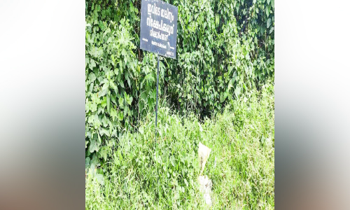 ഏനാത്ത് കീരത്തിൽ തോട്ടിൽ മാലിന്യം തള്ളുന്നു