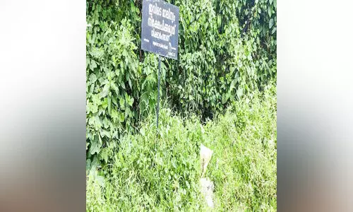 ഏനാത്ത് കീരത്തിൽ തോട്ടിൽ മാലിന്യം തള്ളുന്നു ഏനാത്ത് കീരത്തിൽ തോട്ടിൽ മാലിന്യം തള്ളുന്നു