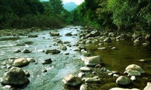 അട്ടപ്പാടിയിലെ മുരുഗള ഊര് കലക്ടർ സന്ദർശിക്കും