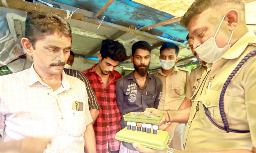 ലഹരിവസ്തുക്കളുമായി രണ്ടുപേർ പിടിയിൽ ലഹരിവസ്തുക്കളുമായി രണ്ടുപേർ പിടിയിൽ