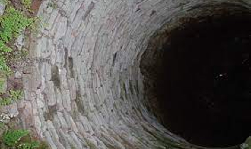 വിരണ്ടോടിയ പോത്ത് കിണറ്റിൽ വീണു വിരണ്ടോടിയ പോത്ത് കിണറ്റിൽ വീണു