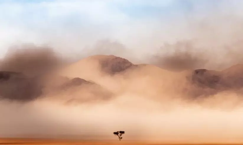 വിഷക്കാറ്റ് തുടങ്ങി; രണ്ടാഴ്ച നീണ്ടു നിൽക്കുമെന്ന് ഖത്തറിൽ മുന്നറിയിപ്പ് വിഷക്കാറ്റ് തുടങ്ങി; രണ്ടാഴ്ച നീണ്ടു നിൽക്കുമെന്ന് ഖത്തറിൽ മുന്നറിയിപ്പ്