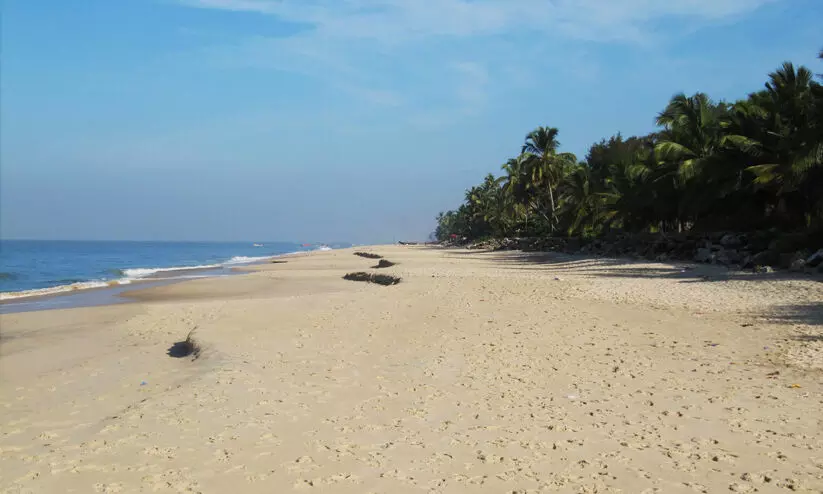 കടലിൽനിന്ന് ചെറുമീനുകൾ പിടിക്കുന്നവർക്കെതിരെ കർശന നടപടിക്ക് തീരുമാനം കടലിൽനിന്ന് ചെറുമീനുകൾ പിടിക്കുന്നവർക്കെതിരെ കർശന നടപടിക്ക് തീരുമാനം