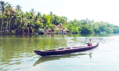 ദ്വീപിന്‍റെ കഥ; പെരും പള്ളം അഥവാ വലിയ ചതുപ്പ്