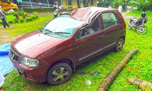 rain havoc rain havoc