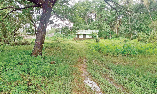 Thrissur corporation