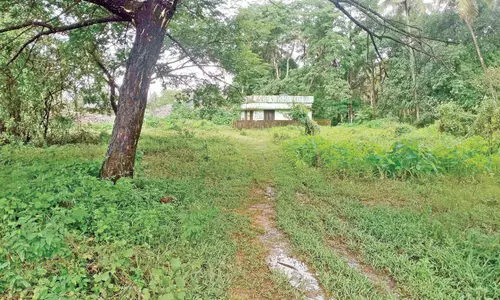 Thrissur corporation