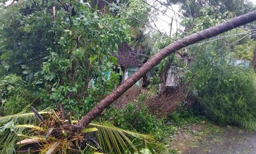 വൈദ്യുതി ലൈനിലേക്ക് തെങ്ങ് വീണു; വിദ്യാർഥി രക്ഷപ്പെട്ടത് തലനാരിഴക്ക് വൈദ്യുതി ലൈനിലേക്ക് തെങ്ങ് വീണു; വിദ്യാർഥി രക്ഷപ്പെട്ടത് തലനാരിഴക്ക്