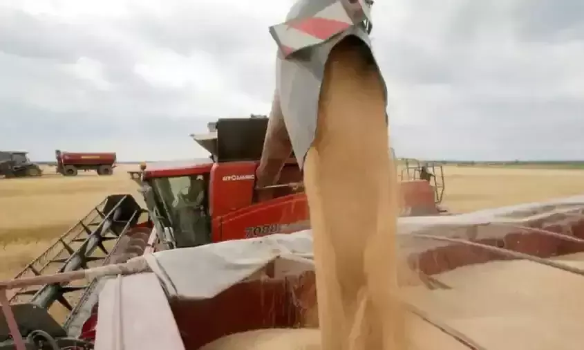 യുക്രെയ്നിൽ നിന്ന് ഭക്ഷ്യധാന്യങ്ങൾ കയറ്റുമതി ചെയ്ത് തുടങ്ങും