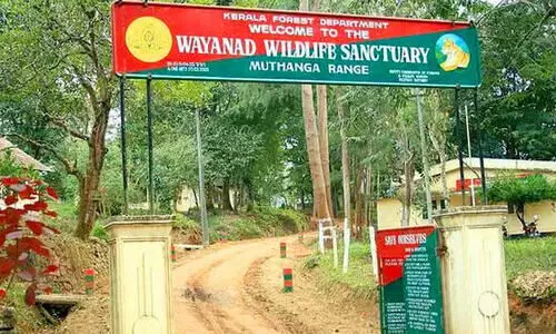 കനത്തമഴ: വനമേഖലയിലെ വിനോദ സഞ്ചാരത്തിന് നിയന്ത്രണം