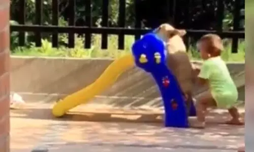 നായ്കുട്ടിക്കൊപ്പം കളിക്കുന്ന കുട്ടിക്കുറുമ്പന്‍റെ വീഡിയോ വൈറൽ