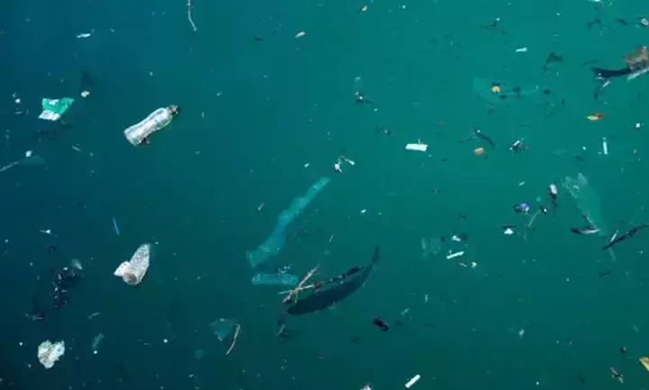 പ്ലാസ്റ്റിക്ക് തിന്നാൻ ഇനി മത്സ്യറോബോട്ടുകൾ