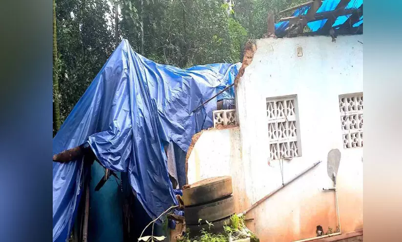 Cyclone damage at Chakkittapara