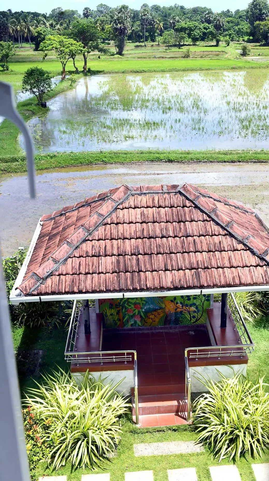 തസ്രാക്ക് -ഒരു കാഴ്ച തസ്രാക്ക് -ഒരു കാഴ്ച