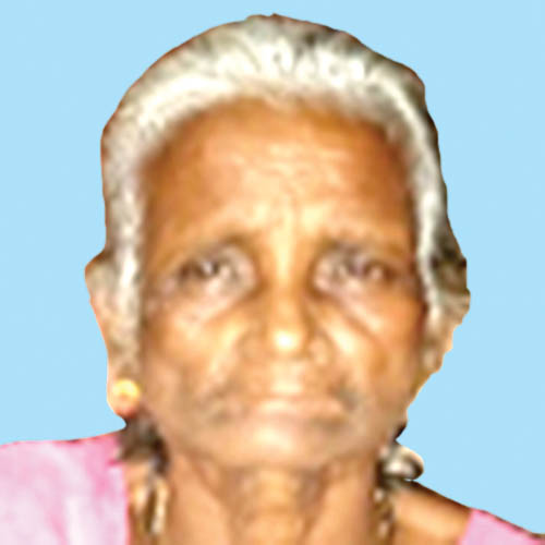 പൊ​ട്ടി​വീ​ണ വൈ​ദ്യു​തി ക​മ്പി​യി​ൽ നി​ന്ന്​  ഷോ​ക്കേ​റ്റ് വീ​ട്ട​മ്മ മ​രി​ച്ചു