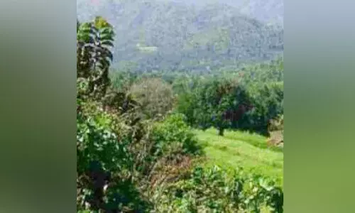 കരുതൽ മേഖല: നിയമ പോരാട്ടത്തിന് കേന്ദ്ര സർക്കാറിന്‍റെ പിന്തുണ