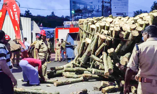 തടി ലോറി മറിഞ്ഞ് ഡ്രൈവർക്ക് പരിക്ക്