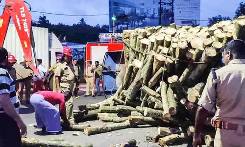തടി ലോറി മറിഞ്ഞ് ഡ്രൈവർക്ക് പരിക്ക്