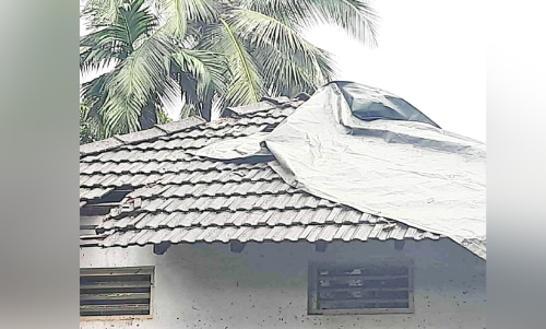 തൊട്ടിൽപാലത്ത് കാറ്റിൽ വ്യാപകനാശം