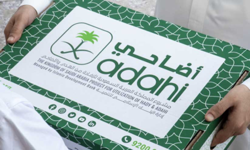 ബലിമാംസം യമൻ, സോമാലിയ എന്നിവിടങ്ങളിലേക്ക്