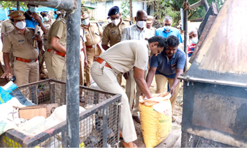 61 കിലോ കഞ്ചാവ് നശിപ്പിച്ചു
