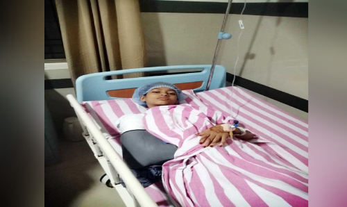 മരം വീണ് ഒമ്പതാം ക്ലാസ് വിദ്യാർഥിനിക്ക് പരിക്ക്