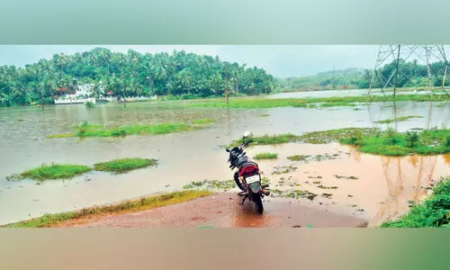 മഴ ശക്തം: താഴ്ന്ന പ്രദേശങ്ങൾ വെള്ളത്തിൽ