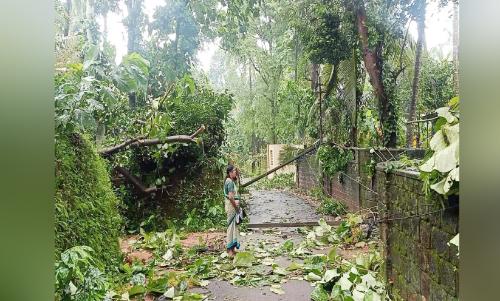 ആഞ്ഞടിച്ച് കാറ്റ്; വ്യാപക നാശം ആഞ്ഞടിച്ച് കാറ്റ്; വ്യാപക നാശം