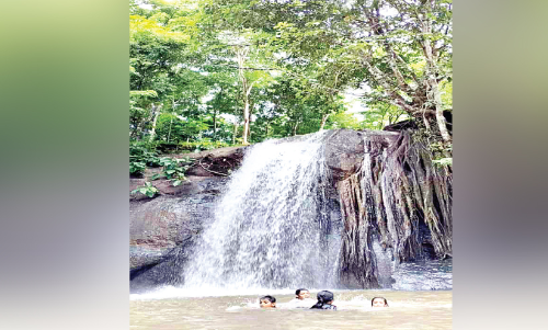 മനോഹരിയായി തൂമാനം വെള്ളച്ചാട്ടം