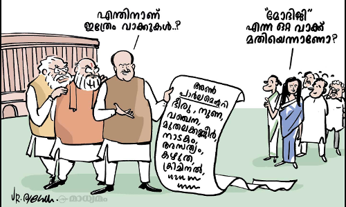 അൺപാർലമെന്ററി