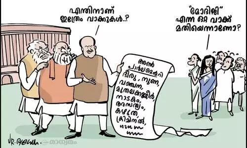 അൺപാർലമെന്ററി