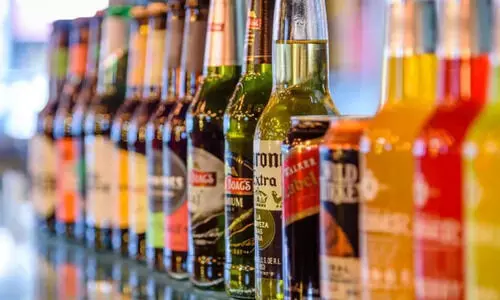 ബ്രൂവറി, ഡിസ്റ്റിലറി അനുമതി; വിജിലൻസ് കോടതി ഉത്തരവിന് സ്റ്റേ