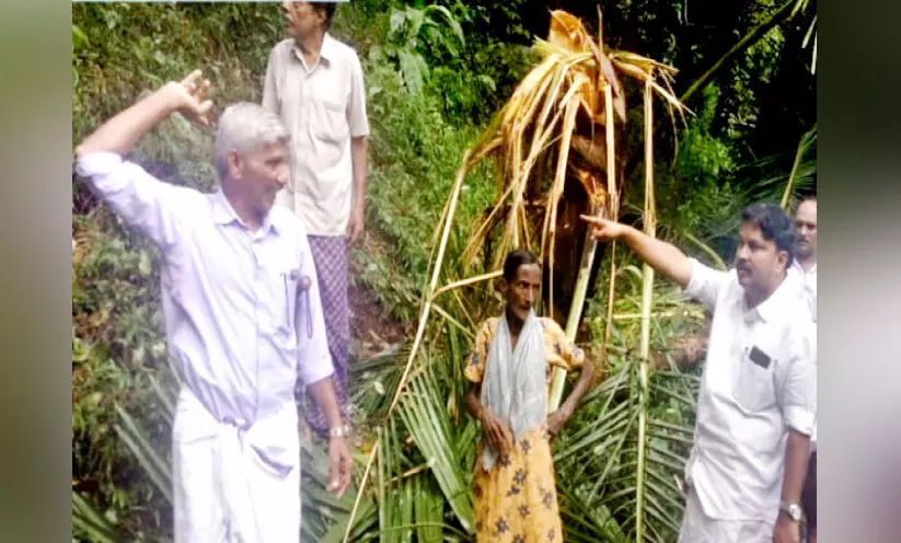 കാട്ടാനശല്യം രൂക്ഷം; വിളനാശം വ്യാപകം